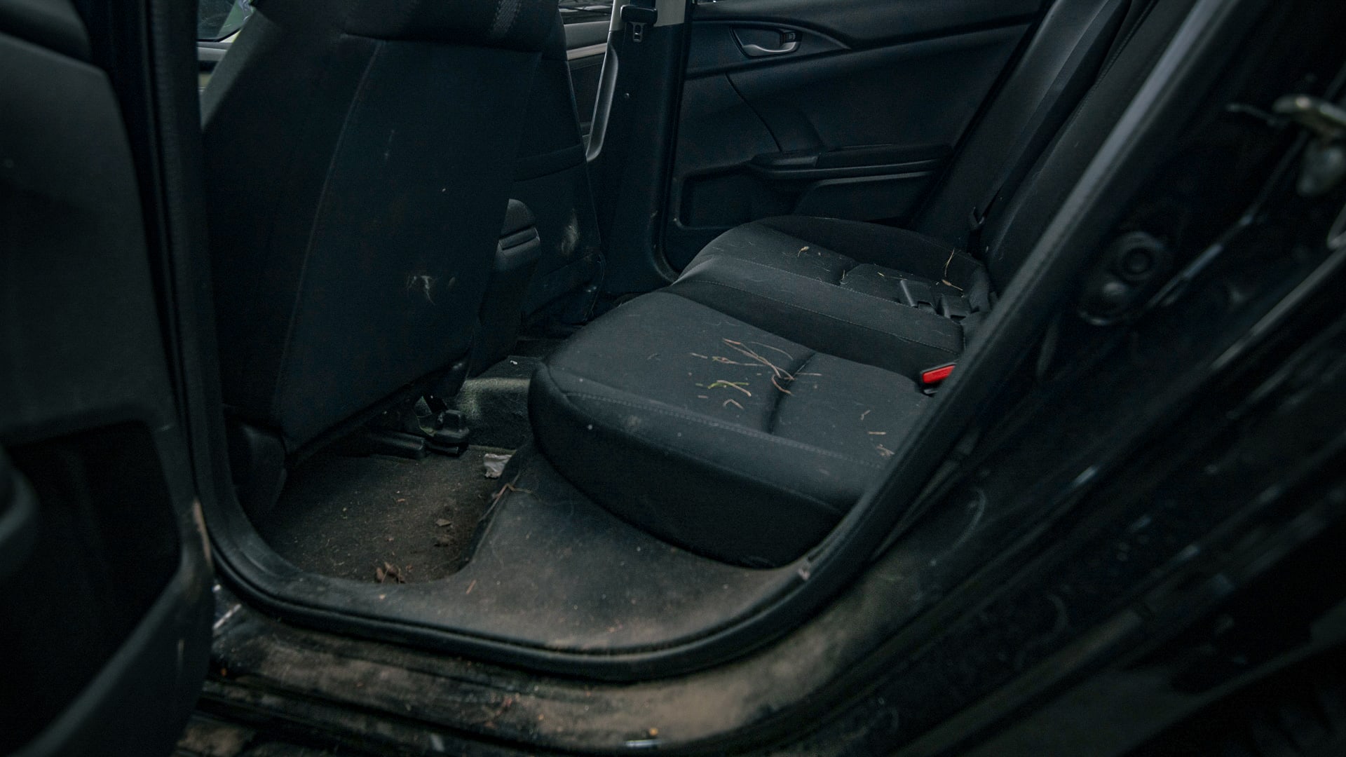 Picture of an extremely dirty car back seat