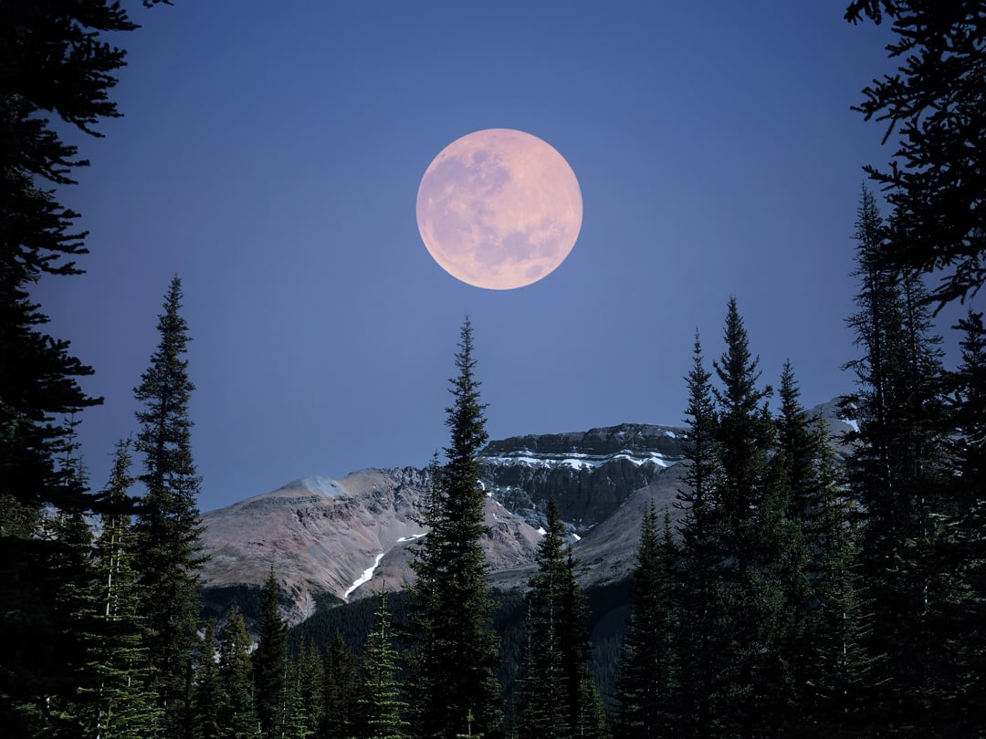 Picture of the full moon rising in the Canadian Rocky Mountains, Alberta
